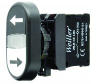 WL9-AL4252 Plastic Twin Button (1NO+1NO)